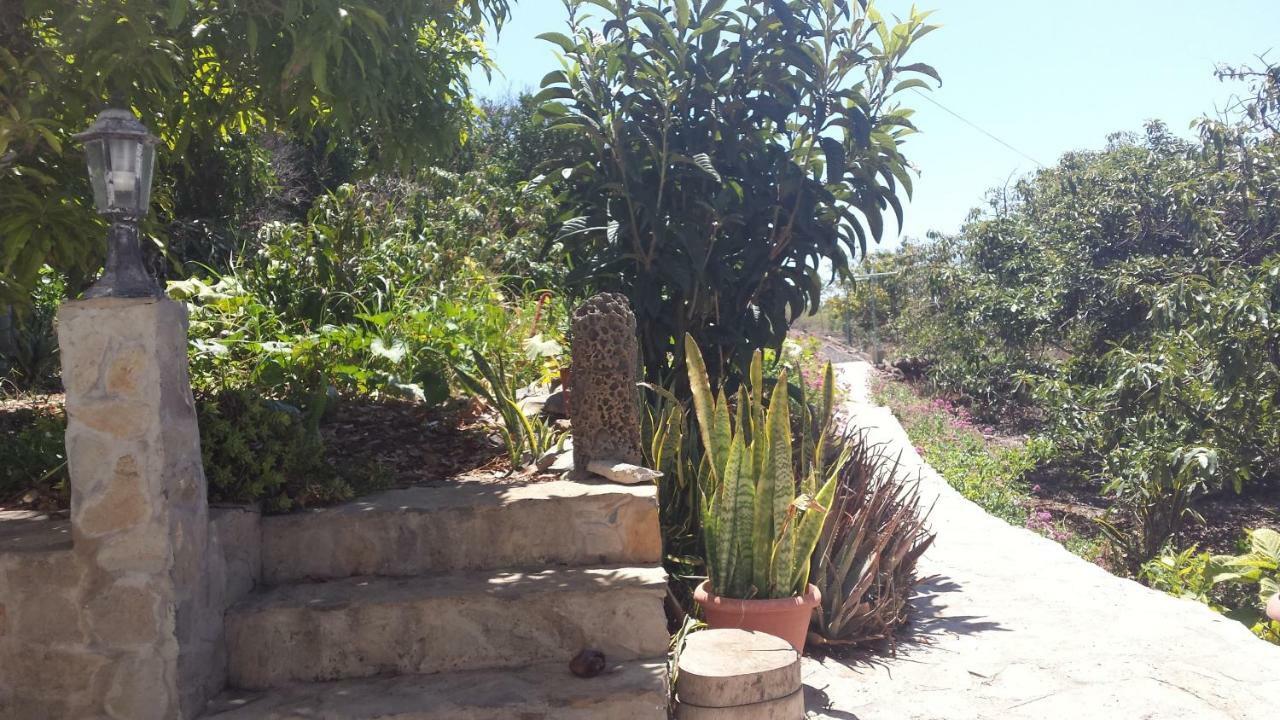 Appartamento Punta del Sol Familiar Tijarafe Esterno foto